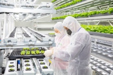 서초구, 스마트팜 인재양성 교육 12월17일까지 진행..농장에서 직접 파종부터 수확까지