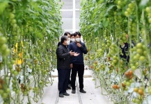 박일호 밀양시장, 경남 스마트팜 혁신밸리 현장 방문