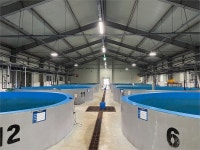 영광군, 양식어업인 전기요금 인상액 50% 지원..군도비 6억 투입