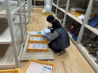 의병박물관, 가야고분군 출토 국가귀속문화재 인수..의령지역 최대 발굴유물 287점 확보