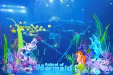 [이곳이 힐링명소] 아쿠아플라넷 여수, 새봄맞이 메가톤급 리뉴얼 프로그램 마련