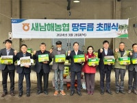 남해군, 맛좋고 영양가득 봄나물 땅두릅 본격 출하..새남해농협 초매식
