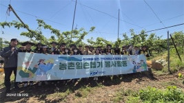 전력거래소, 농번기 배 열매솎기 일손돕기 나서..반디봉사단 20명 한마음