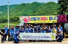 NH농협은행 서울강북사업부, 우수고객과 포천 수확기 산딸기농가 일손지원