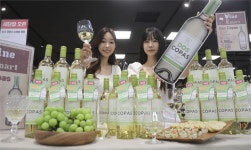 이마트·이마트에브리데이, 4900원 화이트와인 ‘소비뇽 블랑’ 출시
