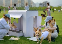 순천시, ‘반려동물 친화도시’ 조성 박차..문화센터·유기동물 공공진료소 등 운영