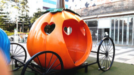 서울, 어디까지 가봤니? - 양재동