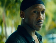 <헤모필 Movie Feel> 문라이트