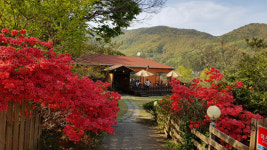 양산 가볼만한곳 법기수원지 근처 자연 속 힐링카페 카페해바라기