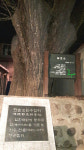 서울, 어디까지 가봤니? - 종로구 행촌동