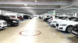 서울, 어디까지 가봤니? - 양재동 오토갤러리