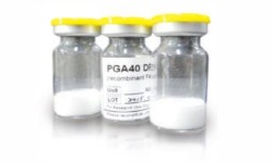 국내 생산 혈우병 치료제 PGA40, 1상 임상시험 끝나가