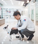 [인터뷰] 대전 24시성심동물메디컬센터 박형진 대표 원장을 만나다