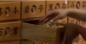 한약 처방, 허리통증 등 근골격 계통 비중 74% 차지