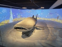 어른도 아이도 모두 즐거운 부산해양자연사박물관