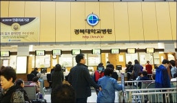 법원 노조의 경북대병원 로비 점거농성, 업무방해 아니다