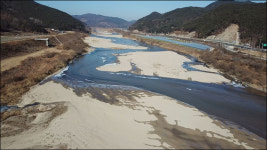 낙동강의 기분 좋은 변화, 드넓은 모래톱에 새들이 찾아왔다