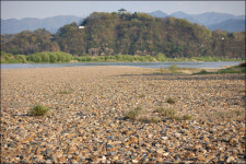 멸종위기종 앞에 옹색해진 달성군, 서둘러 탐방로 공사 마무리?