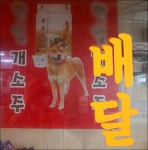 전국 3대 개시장, 마지막 남은 70년 대구 칠성 개시장도 존폐 논란