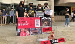 전국 마지막 남은 대구 칠성 개시장...대구시, 어떻게?
