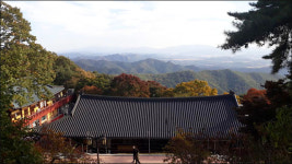 나는 풍요로웠고 지구는 달라졌다