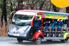 국가인권위, 대구 비슬산·화원유원지 관람차 장애인 차별 시정권고