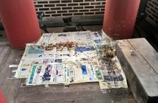 새똥·거미줄 범벅...대구 영남제일관, 문화유산 관리 엉망