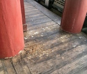 새똥·거미줄 범벅...대구 영남제일관, 문화유산 관리 엉망