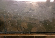 새똥·거미줄 범벅...대구 영남제일관, 문화유산 관리 엉망