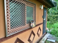 새똥·거미줄 범벅...대구 영남제일관, 문화유산 관리 엉망