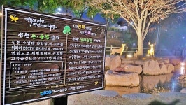 녹조 가득찬 웅덩이...대구 신천둔치 인공습지 논란