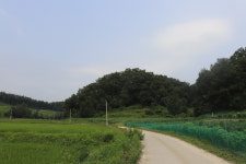 꼭꼭 숨어 있는 원주의 태실을 찾아서