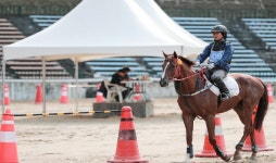 마사회, 승마지도사 시험 잠정 연기키로