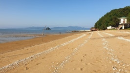 [논객 포토] 질주본능 해변