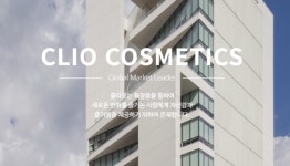 잘 나가던 클리오 어쩌다가…급제동 걸린 이익 성장세
