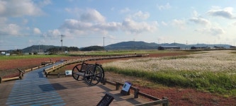 [동이의 시간여행] 천사섬 가시렵니까?