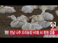  전남 나주 오리농장 H5형 AI 항원 검출