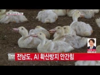  전남도, AI 확산 방지 안간힘