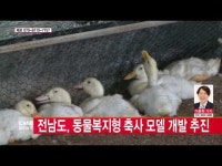  전남도, 동물복지형 축사 모델 개발 추진
