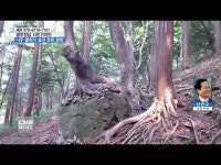  [시민기자단] 전남 나주시, 불회사 문화 탐방