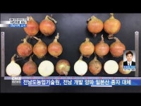 사진으로 보는 전남지역 소식