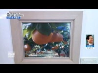 [시민기자단] \나주 배 박물관의 사계\