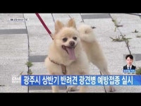광주시 상반기 반려견 광견병 예방접종 실시