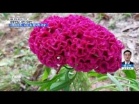 [시민기자단] 각화저수지수변공원, 도심 속 휴식처 각광