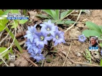 [시민기자단] 전남 화순 만연산 산책길
