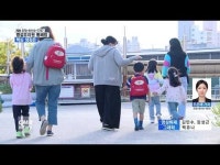 병설유치원 통폐합, 핵심 쟁점은
