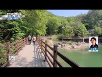 [시민기자단] 장성호 수변길