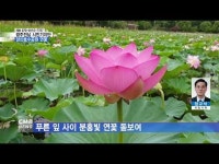 [시민기자단] 양산호수공원