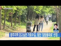 광주지역 걷고싶은 가로수길 ´임방울대로´ 선정