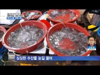 [시민기자단] 목사고을 전통시장